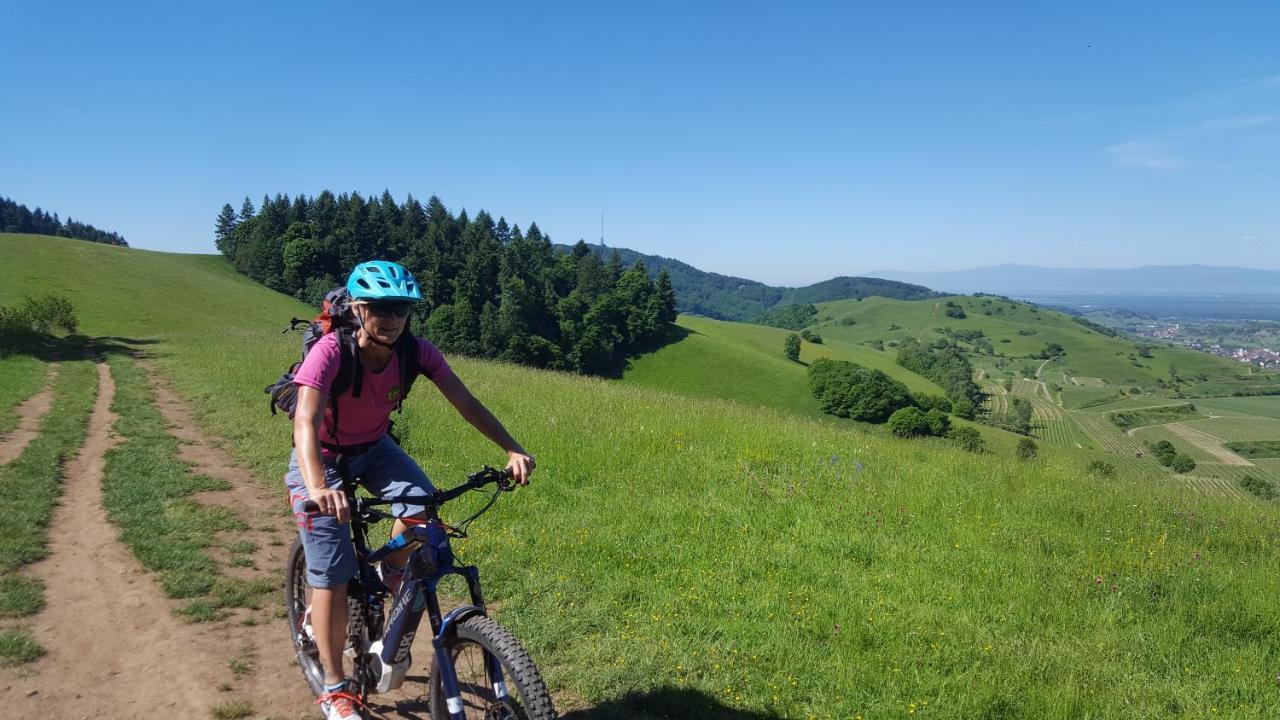 Gaestehaus Casa Luna - Paradiesische Ferienwohnungen Am Kaiserstuhl! Bischoffingen ภายนอก รูปภาพ