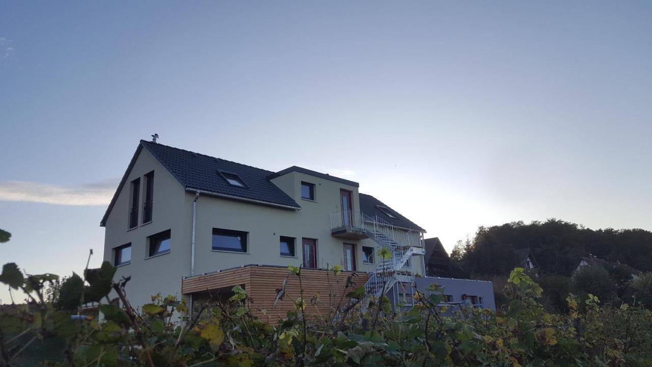 Gaestehaus Casa Luna - Paradiesische Ferienwohnungen Am Kaiserstuhl! Bischoffingen ภายนอก รูปภาพ