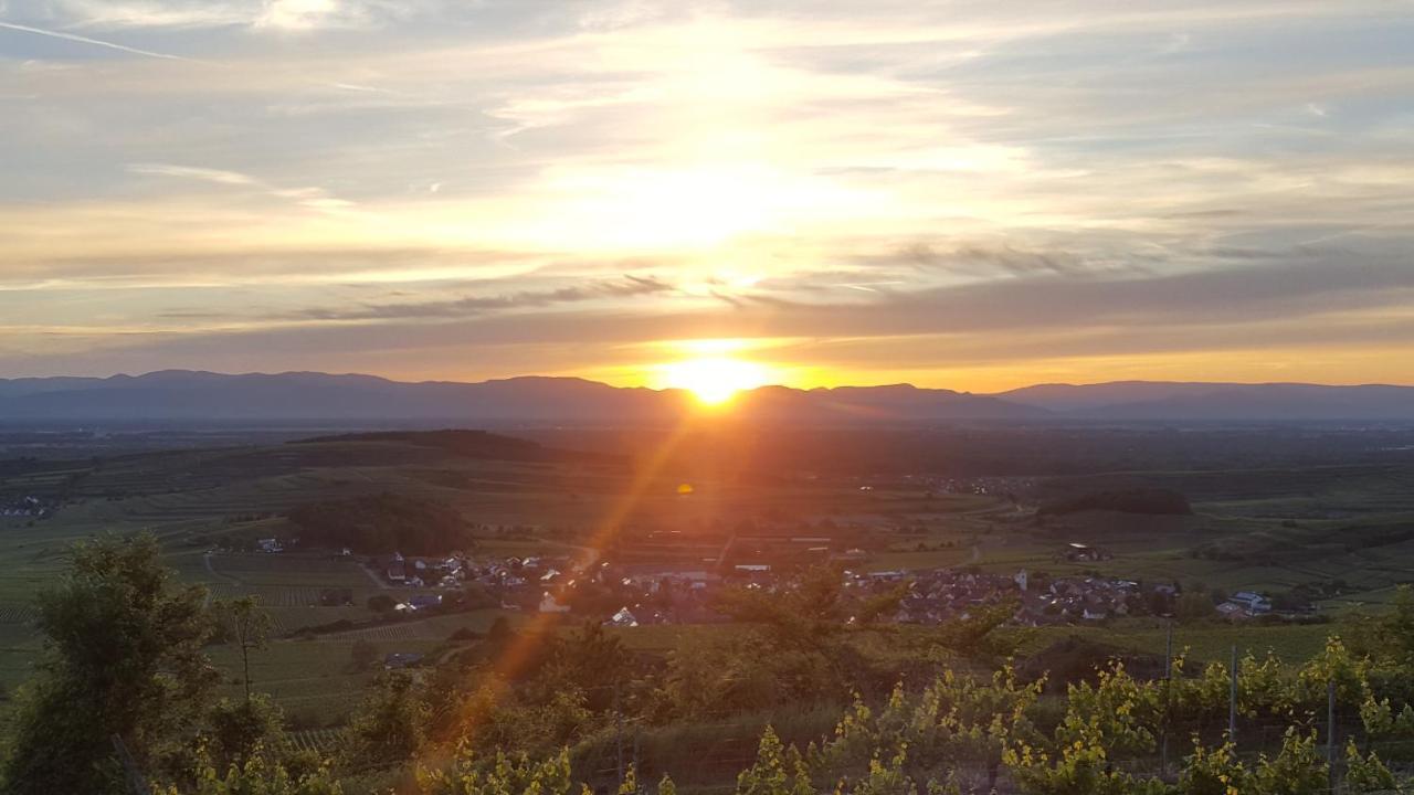 Gaestehaus Casa Luna - Paradiesische Ferienwohnungen Am Kaiserstuhl! Bischoffingen ภายนอก รูปภาพ