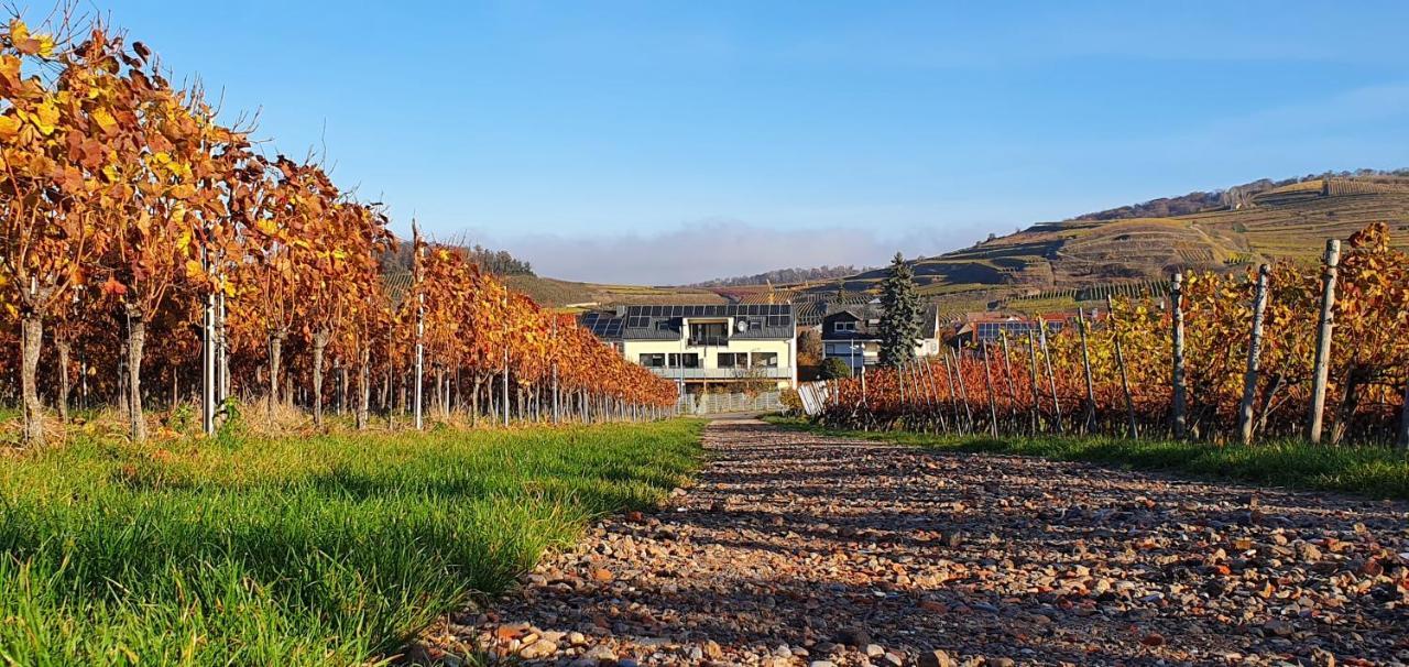 Gaestehaus Casa Luna - Paradiesische Ferienwohnungen Am Kaiserstuhl! Bischoffingen ภายนอก รูปภาพ