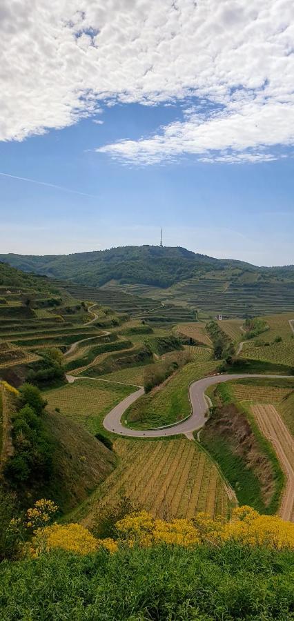 Gaestehaus Casa Luna - Paradiesische Ferienwohnungen Am Kaiserstuhl! Bischoffingen ภายนอก รูปภาพ