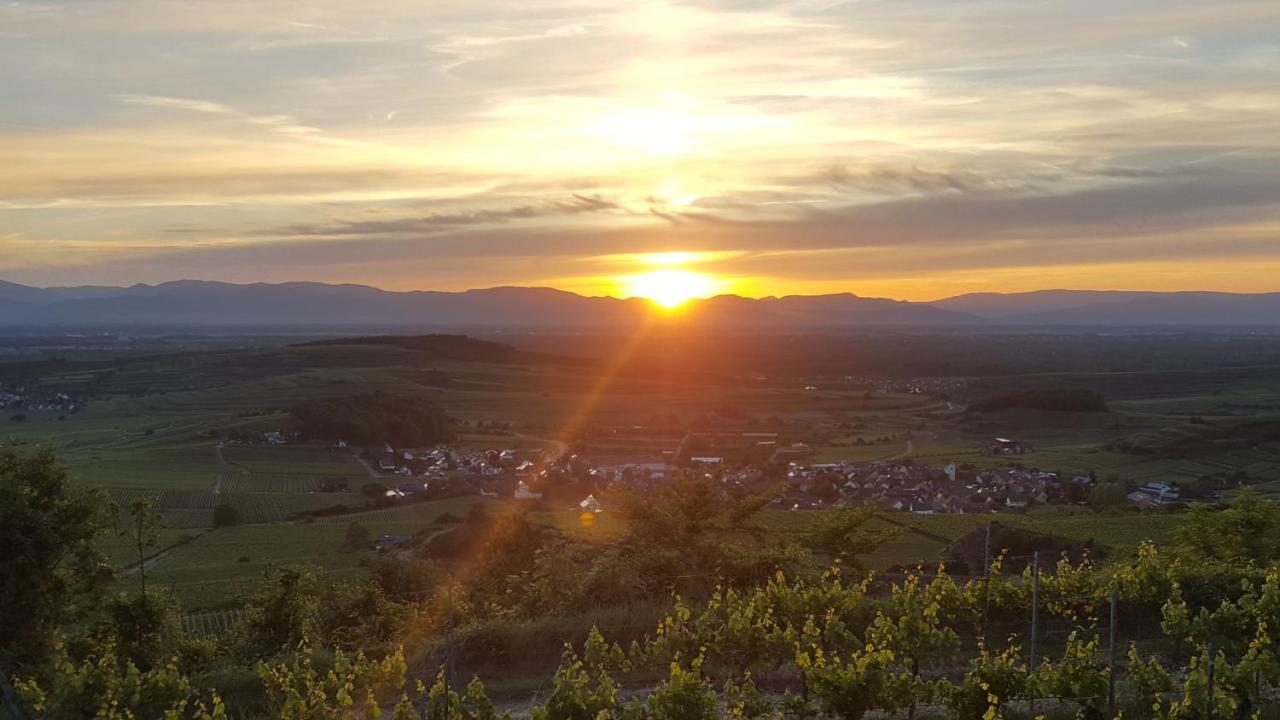 Gaestehaus Casa Luna - Paradiesische Ferienwohnungen Am Kaiserstuhl! Bischoffingen ภายนอก รูปภาพ