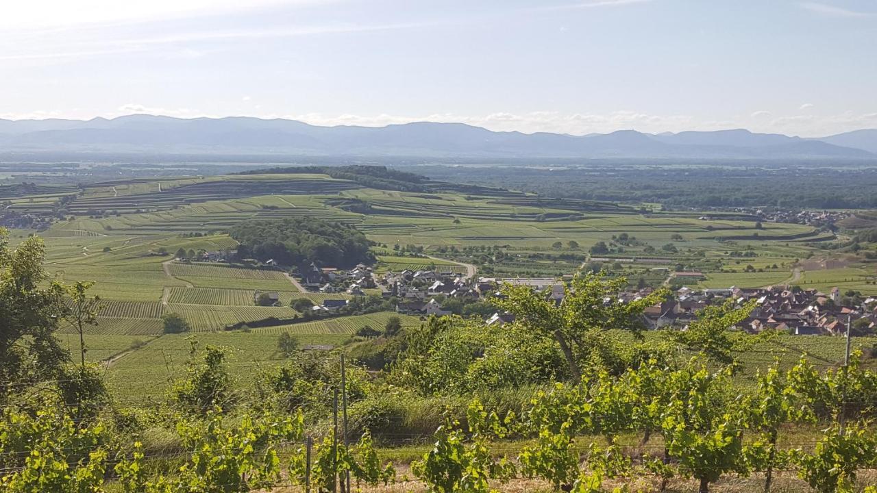 Gaestehaus Casa Luna - Paradiesische Ferienwohnungen Am Kaiserstuhl! Bischoffingen ภายนอก รูปภาพ
