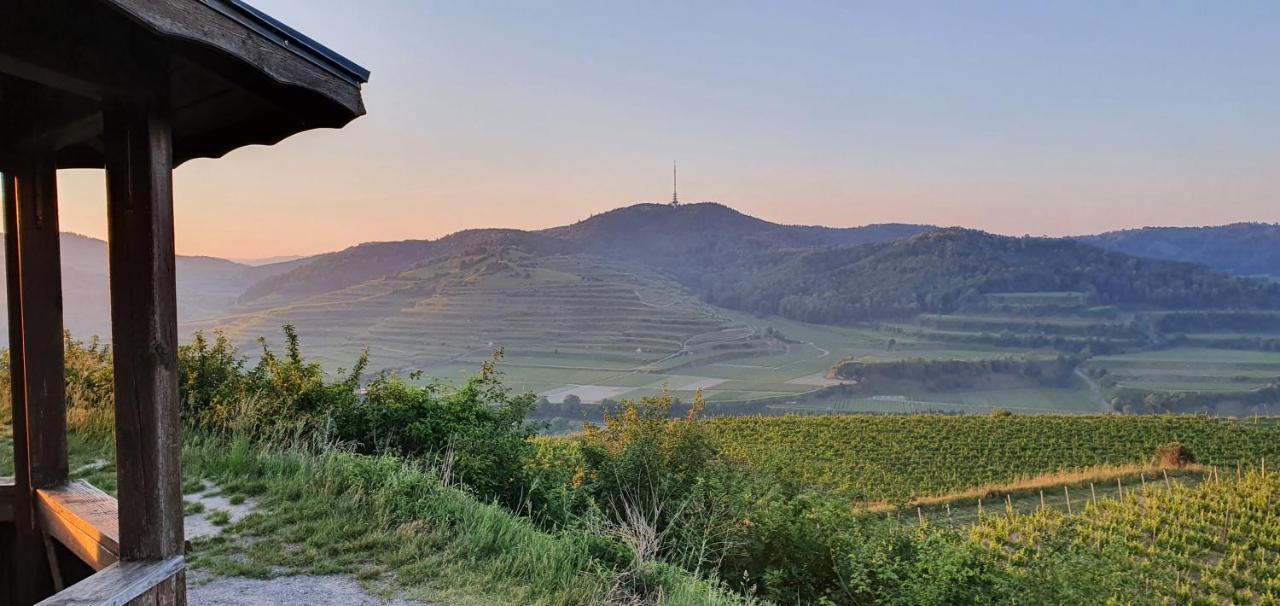 Gaestehaus Casa Luna - Paradiesische Ferienwohnungen Am Kaiserstuhl! Bischoffingen ภายนอก รูปภาพ